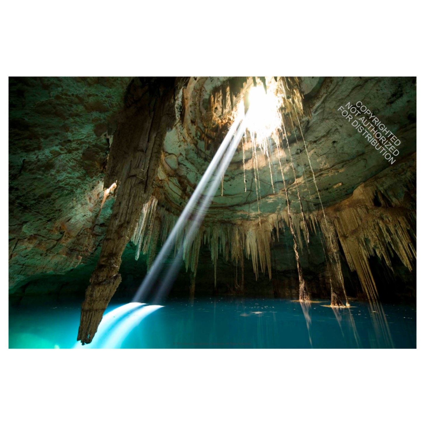 Rizzoli-Fall-2021-Book-0082-ISBN9780847870882-01