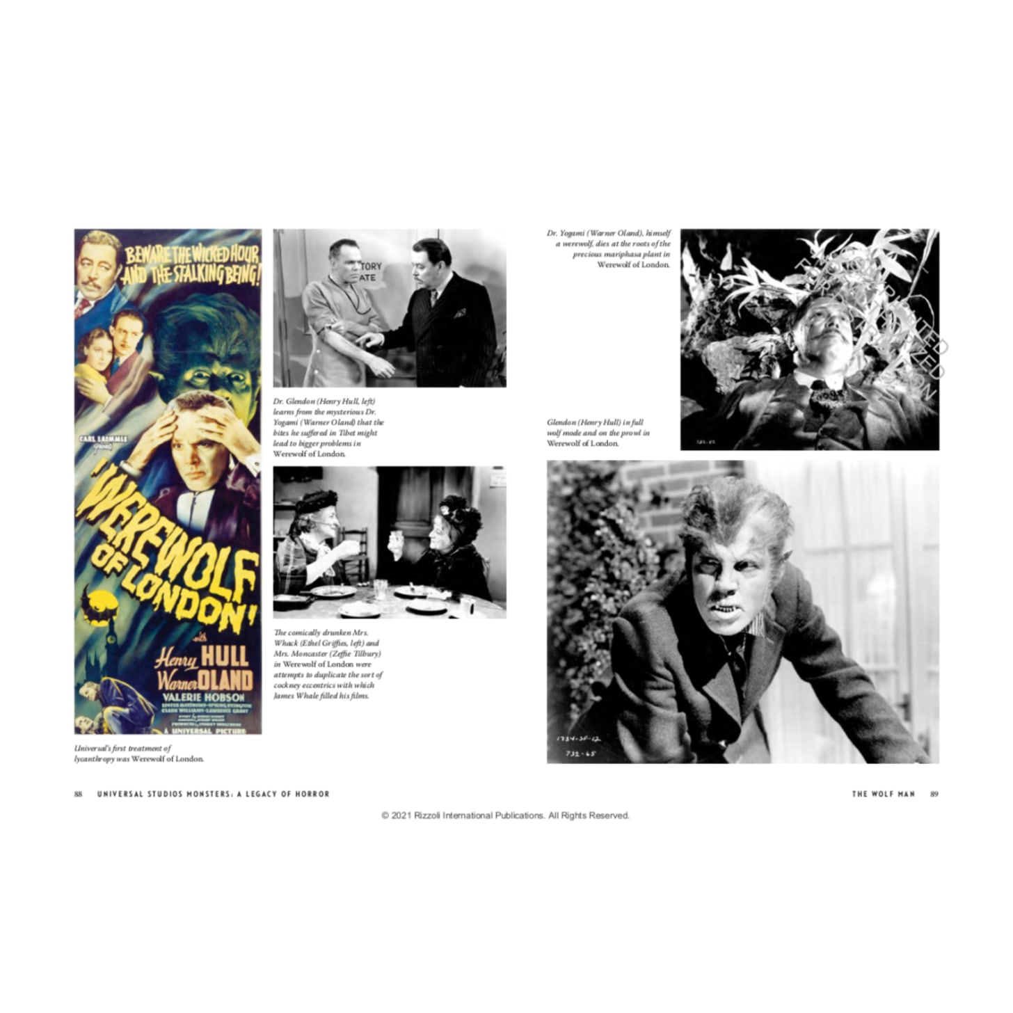 Rizzoli-Fall-2021-Book-0089-ISBN9780789341006-03