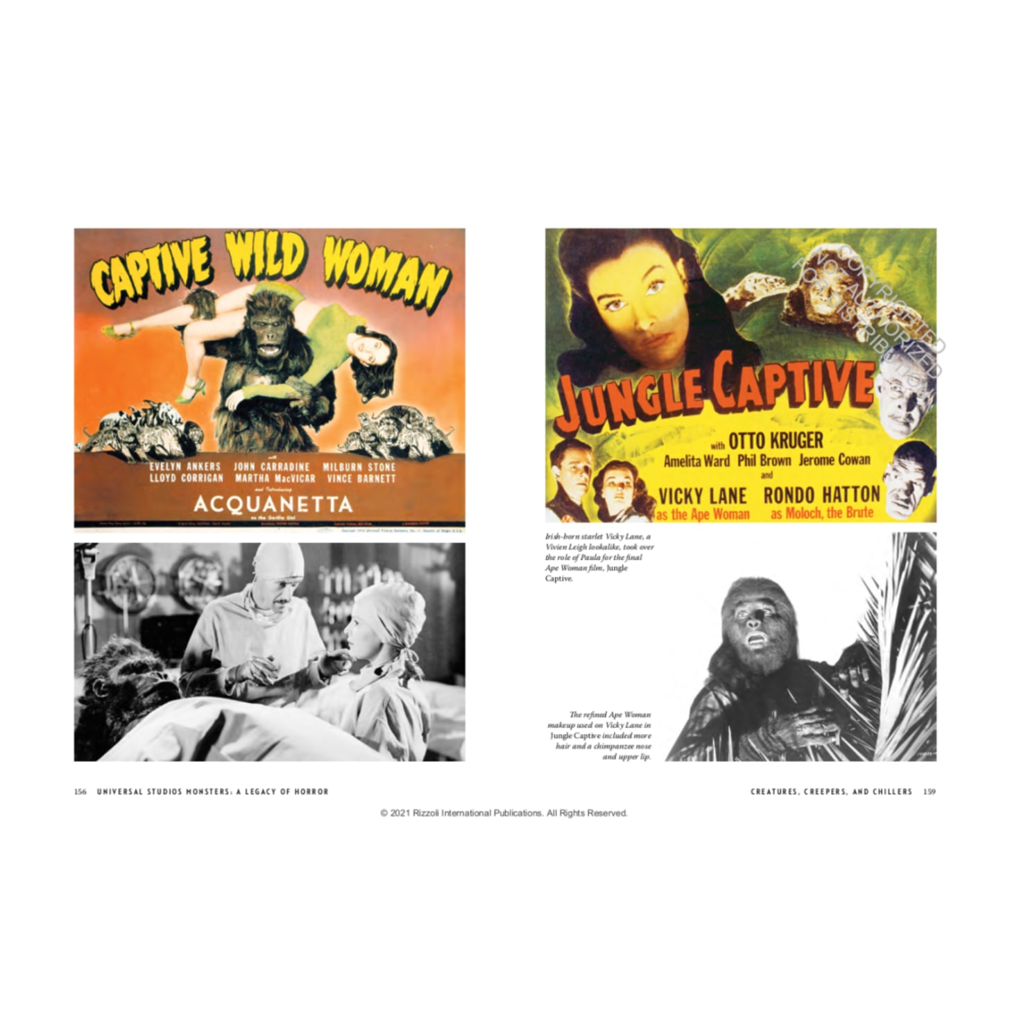 Rizzoli-Fall-2021-Book-0089-ISBN9780789341006-06