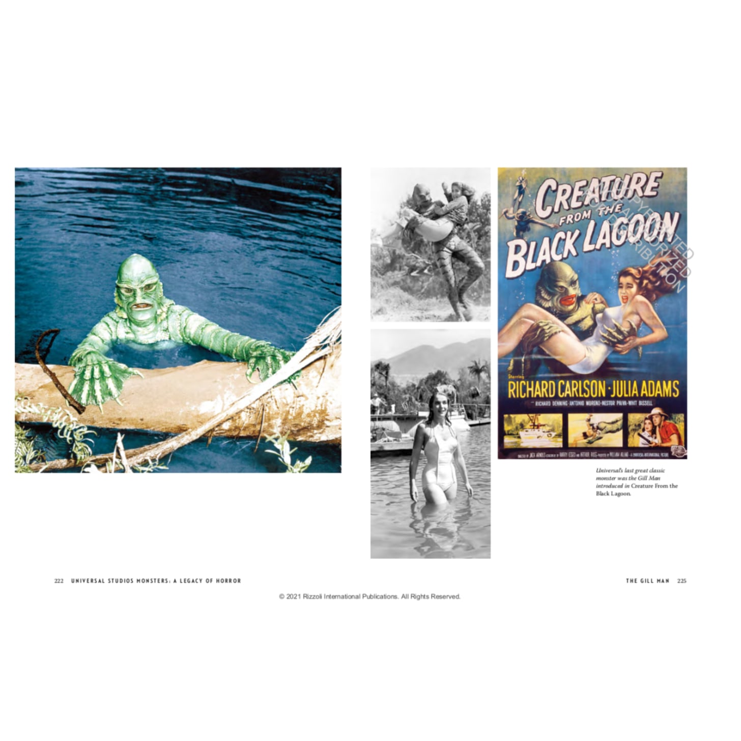 Rizzoli-Fall-2021-Book-0089-ISBN9780789341006-08