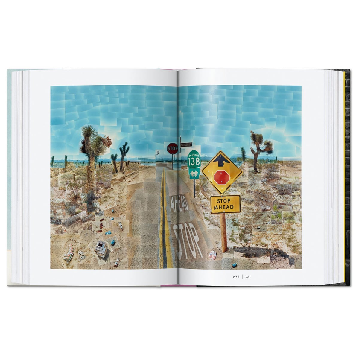 david-hockney-a-chronology-40th-ed-taschen-books-fitcasually-9900001833-1200px-0358