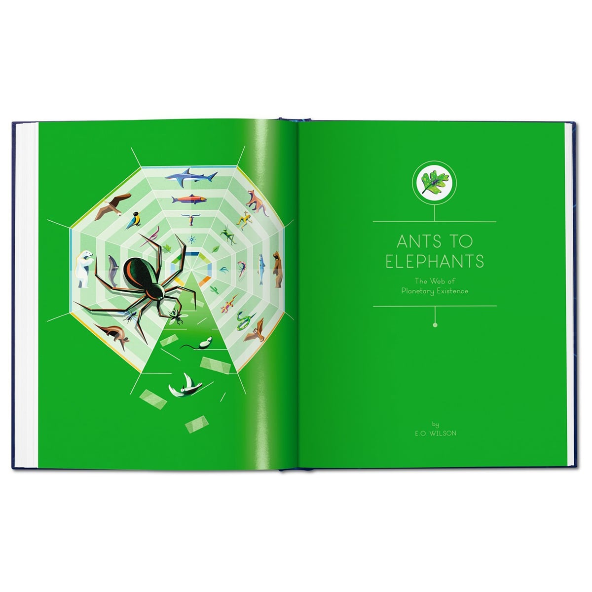 james-lovelock-et-al-the-earth-and-i-taschen-books-fitcasually-99500001831-1200px-0702